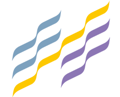 2025國際紡織服裝供應鏈博覽會｜第23屆寧波紡織面輔料、紗線展會